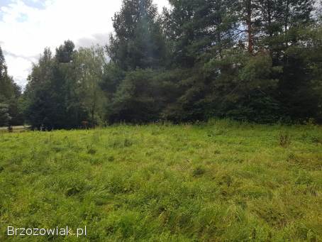 Działka 47 arów Nowosiółki gm.  lesko