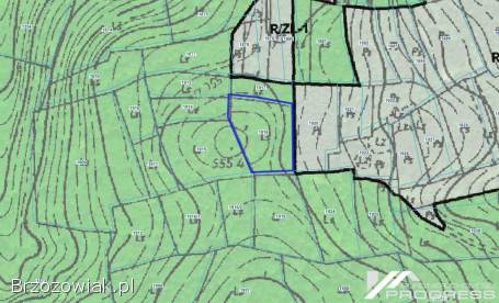 Na sprzedaż las 39a – Iwla gm.  Dukla