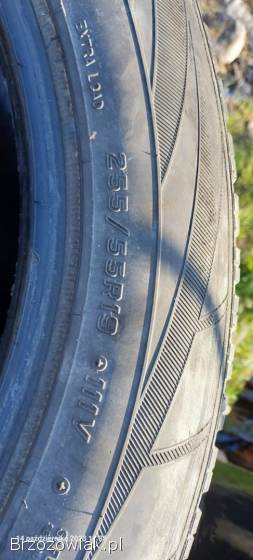 Opony wielosezonowe 255/55 r19