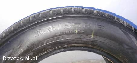 Opony zimowe Nokian Tyres 215/65/16