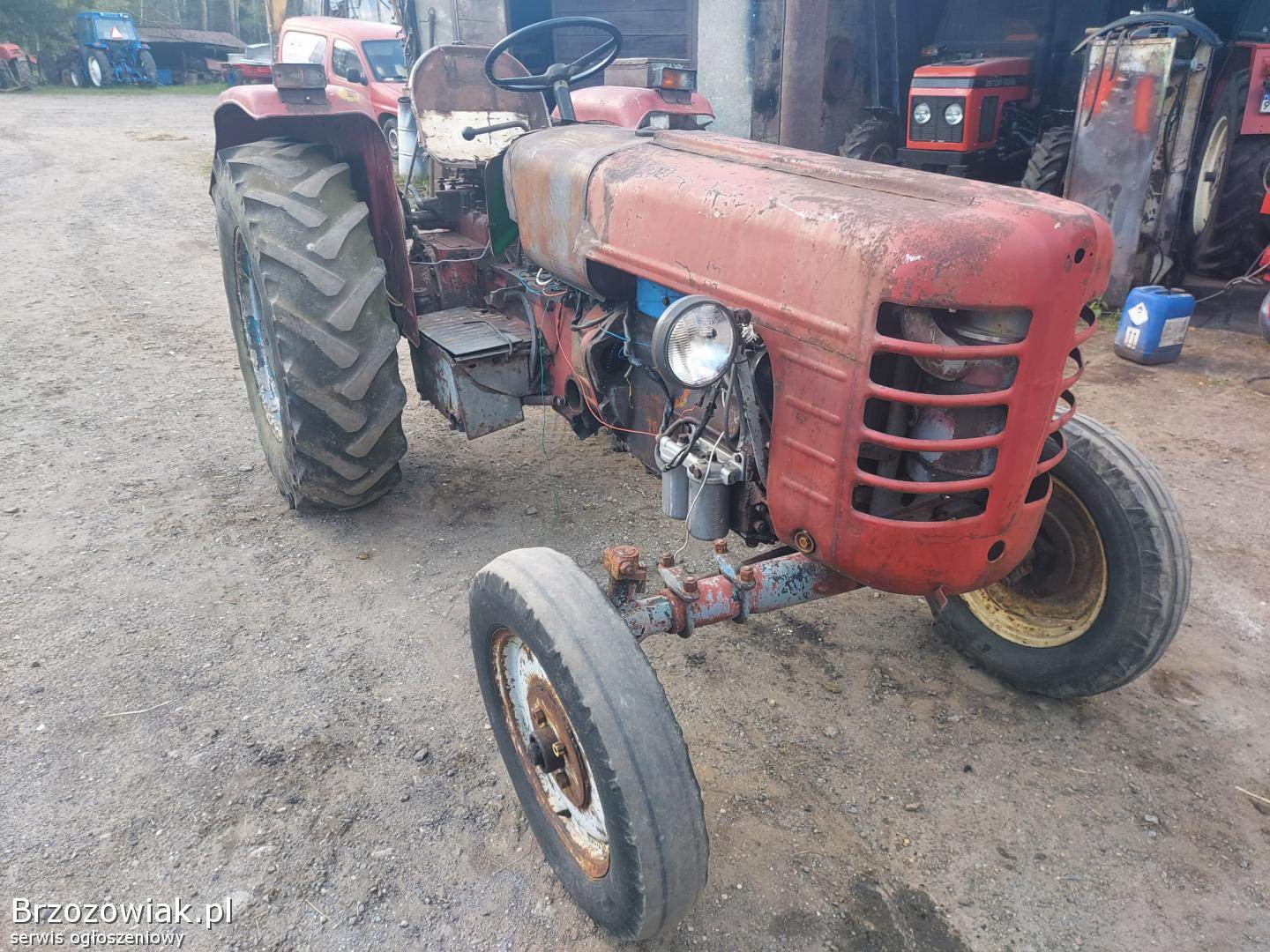 Ci Gnik Ursus Zetor Massey Machowa Pilzno Brzozowiak Pl