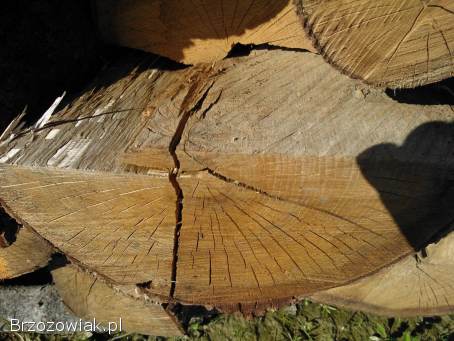 Drewno opałowe,  drewno kominkowe,  buk,  grab SEZONOWANE SUCHE.