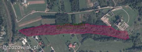 Zagórz działka leśna 2,  19ha