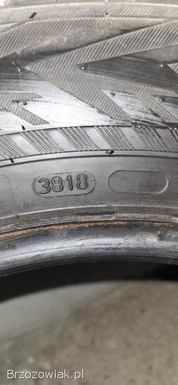 Opony zimowe Nokian Tyres 215/65/16