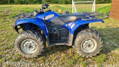 Yamaha grizzly 450