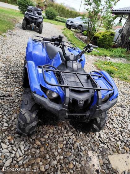 Yamaha Grizzly 700 2008 ( zamiana)