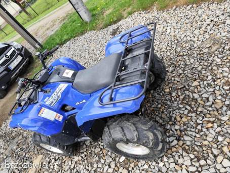 Yamaha Grizzly 700 2008 ( zamiana)