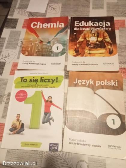 Podręczniki do 1 klasy szkoły ponad podstawowej