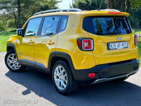 Jeep Renegade POLSKI SALON 2014