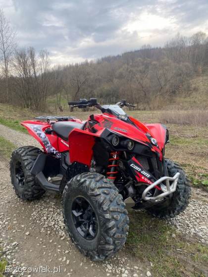 Quad Can am Renegade 650