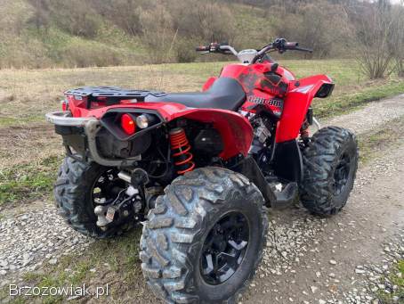 Quad Can am Renegade 650