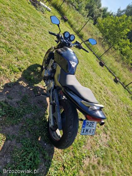 Honda CB Hornet  2001