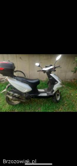 Aprilia AF1 2004