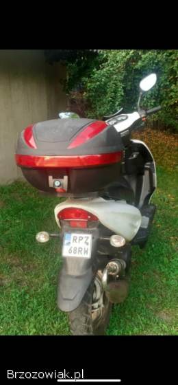 Aprilia AF1 2004