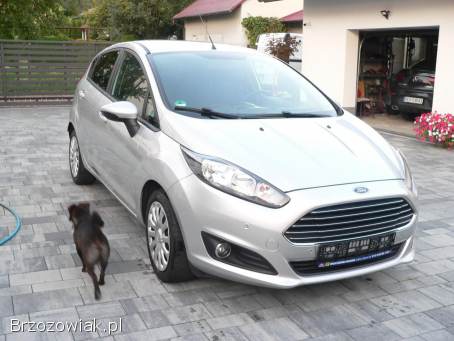 Ford Fiesta 2014