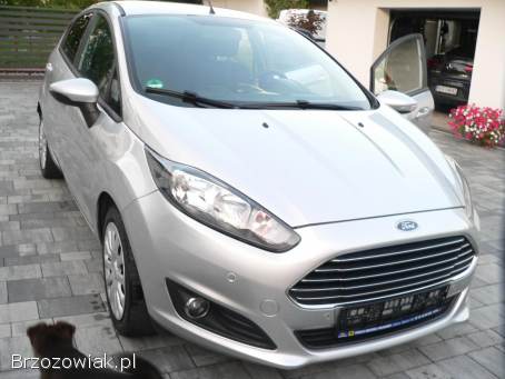 Ford Fiesta 2014