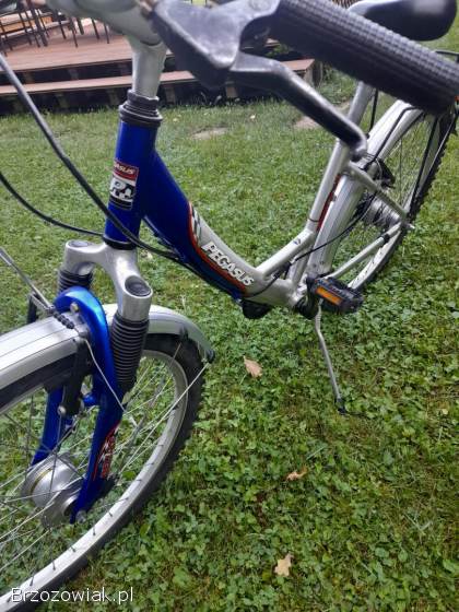 Rower Pegasus