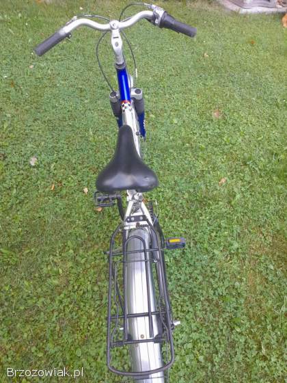 Rower Pegasus