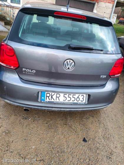 Volkswagen Polo 2010