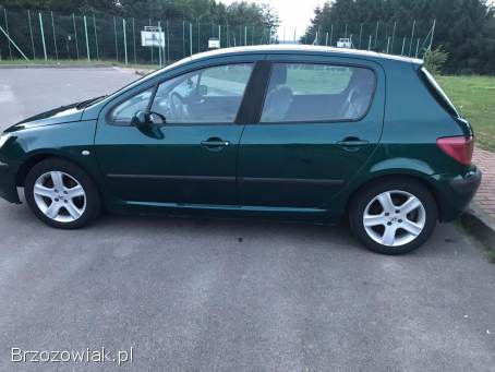 Peugeot 307 2005