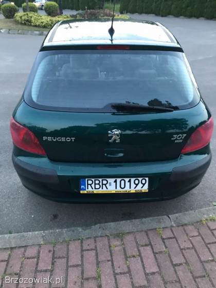 Peugeot 307 2005