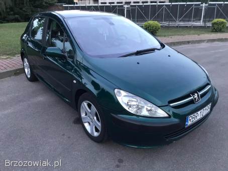 Peugeot 307 2005
