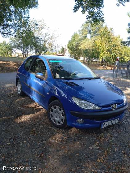 Peugeot 206 2004