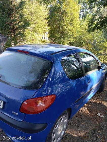 Peugeot 206 2004