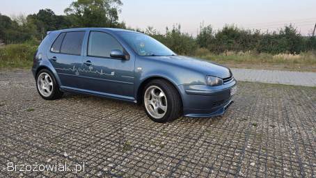 Volkswagen Golf Pacyfic 2003