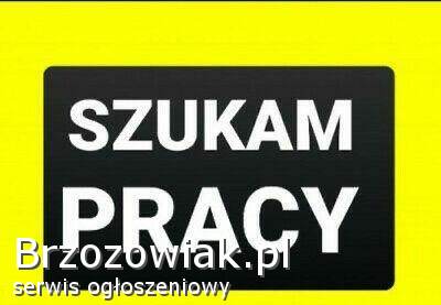 Szukam pracy od zaraz!