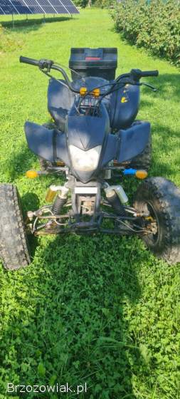 Quad Bashan 200
