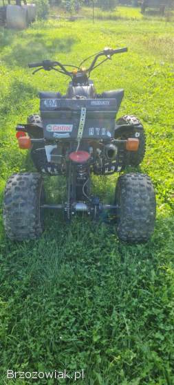 Quad Bashan 200