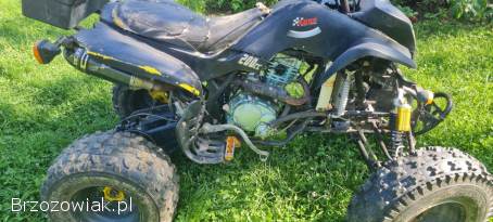 Quad Bashan 200