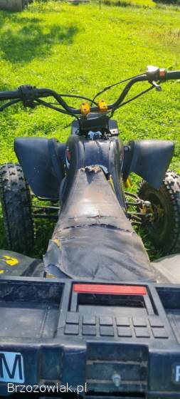 Quad Bashan 200