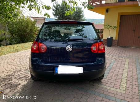 Volkswagen Golf V 2005