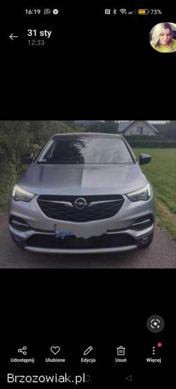 Opel Grandland X 2019