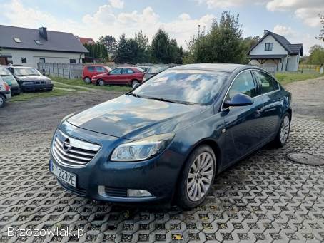 Opel Insignia 2.  0t 4x4 09r 2009