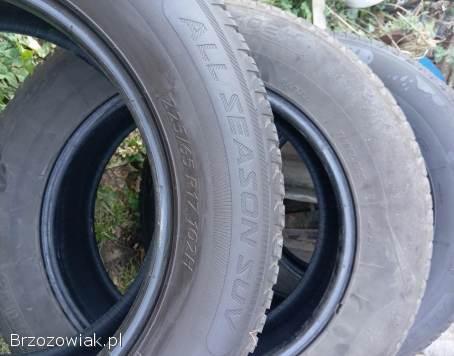 Opony wielosezonowe 225/65 R17 SUV