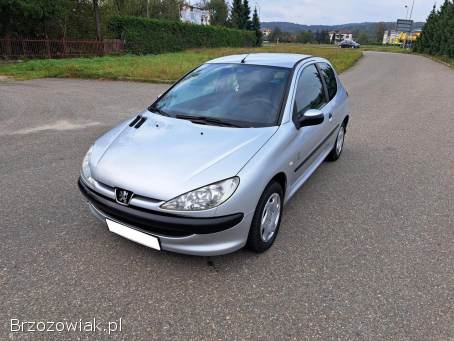 Peugeot 206 Lift Wspomaganie 2004