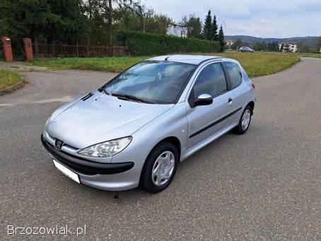 Peugeot 206 Lift Wspomaganie 2004