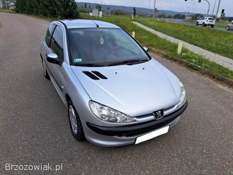 Peugeot 206 Lift Wspomaganie 2004