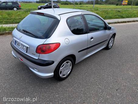 Peugeot 206 Lift Wspomaganie 2004