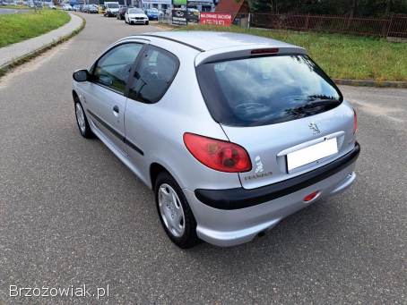 Peugeot 206 Lift Wspomaganie 2004