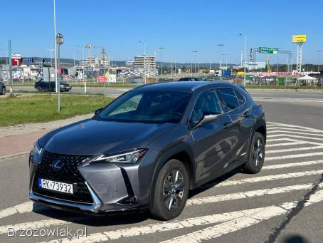 Lexus UX250H 2.  0 Hybryda 2021 2021