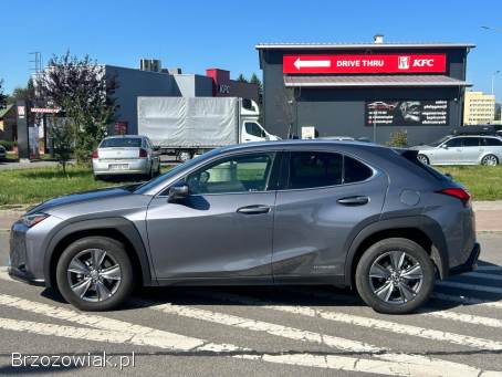 Lexus UX250H 2.  0 Hybryda 2021 2021