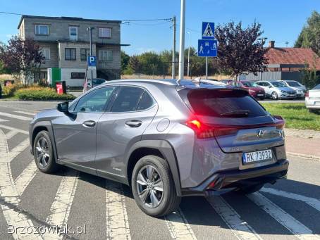 Lexus UX250H 2.  0 Hybryda 2021 2021