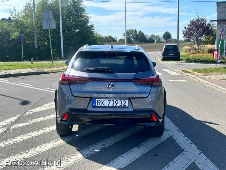 Lexus UX250H 2.  0 Hybryda 2021 2021