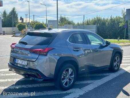 Lexus UX250H 2.  0 Hybryda 2021 2021