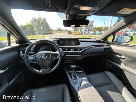 Lexus UX250H 2.  0 Hybryda 2021 2021