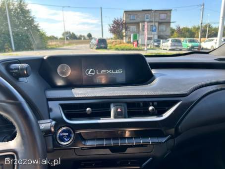 Lexus UX250H 2.  0 Hybryda 2021 2021